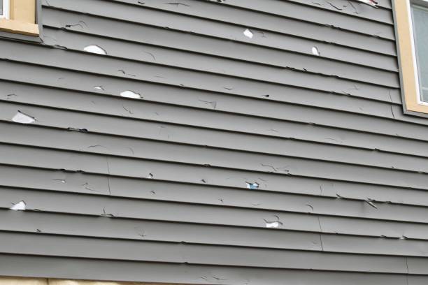 Best Custom Trim and Detailing for Siding  in Harvard, NE